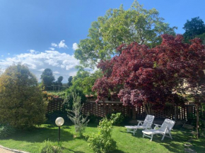 Bouganville Viverone